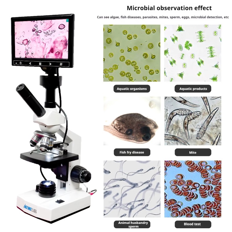 HD Screen Digital Microscope B - Medical Lab Microscope 评论和价格