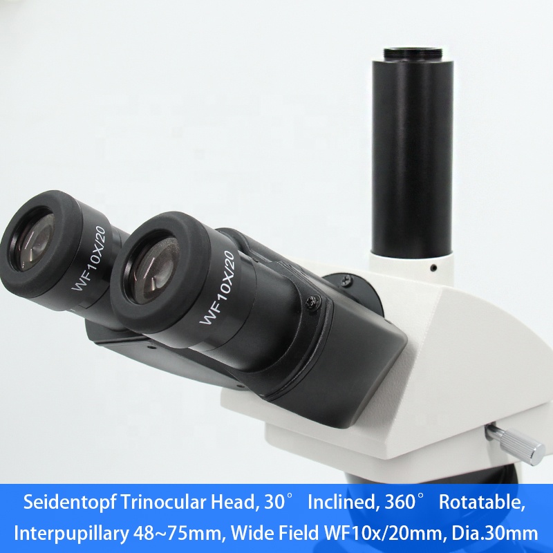40x-1000x Infinity Optical Sys - Medical Lab Microscope 评论和价格