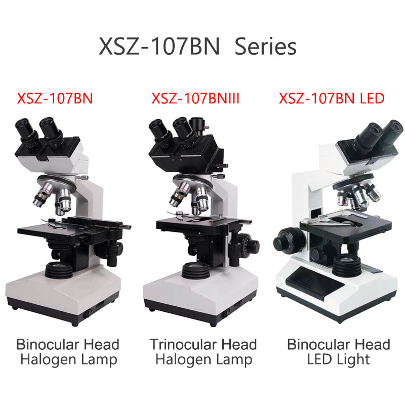 Xsz-107bn Electron Laboratory  - Medical Lab Microscope 评论和价格