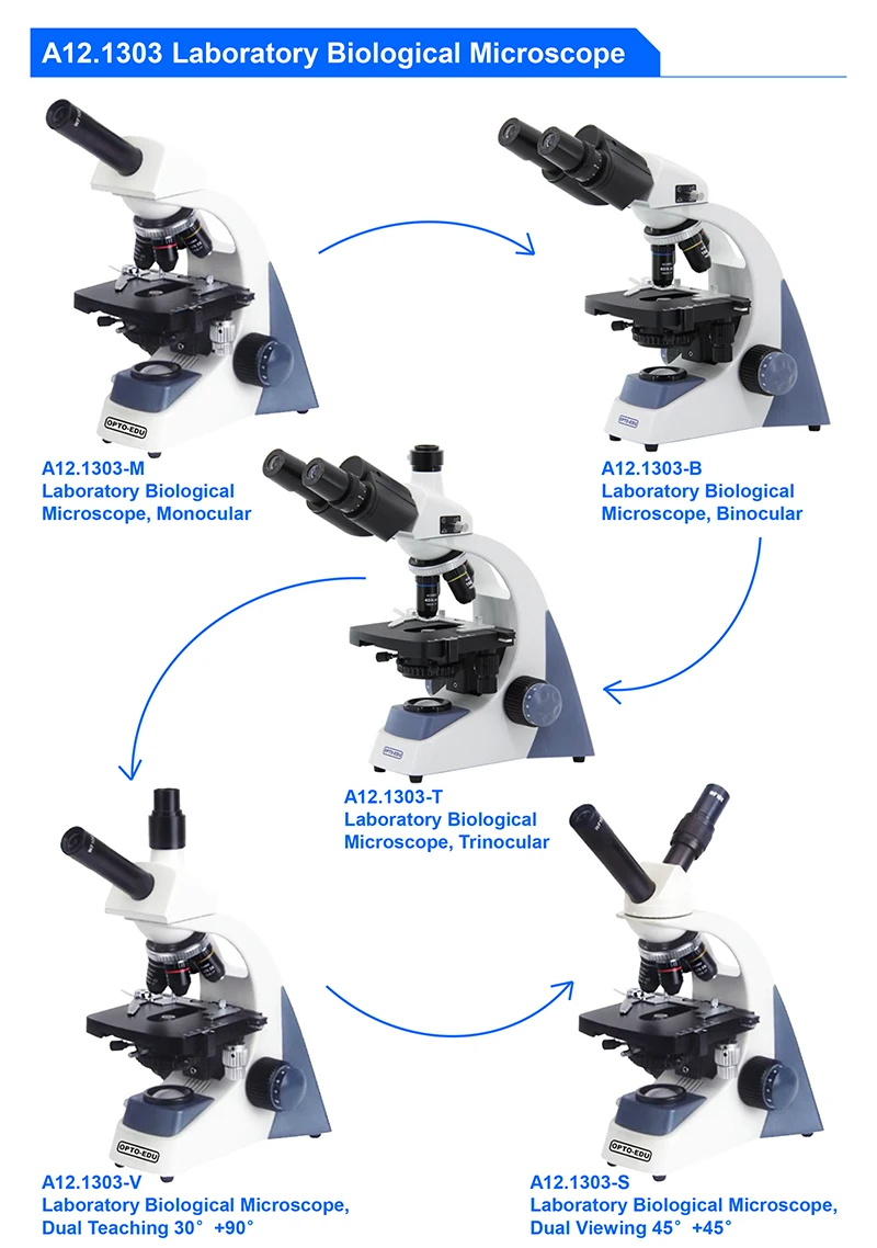 OPTO-EDU A12.1303-B 40x~1000x  - Medical Lab Microscope 评论和价格
