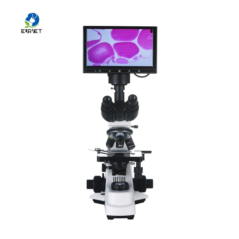 2026 Medical Lab Digital Biolo - Medical Lab Microscope 评论和价格