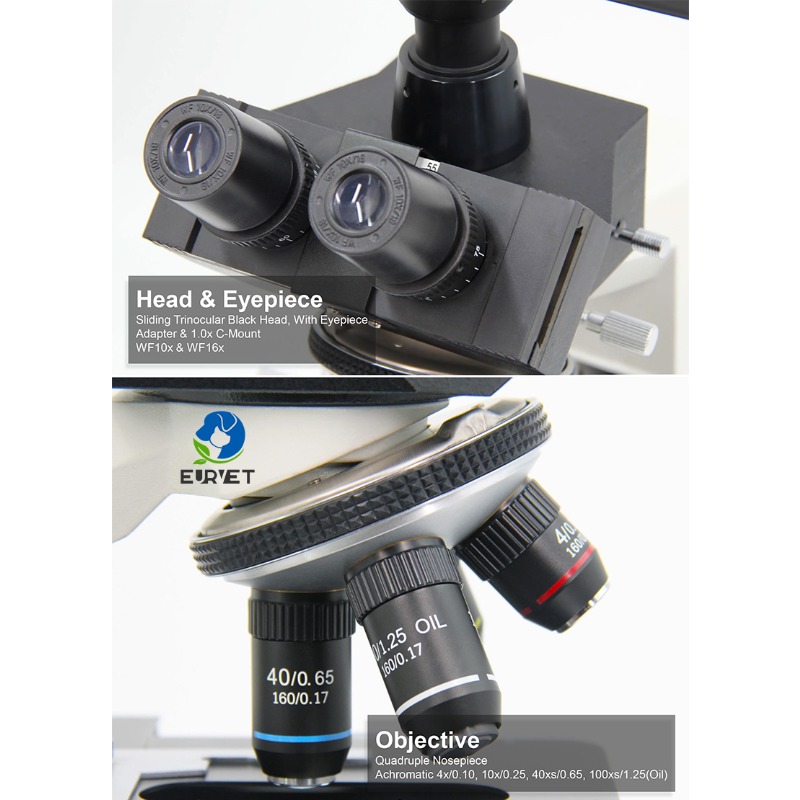 2026 Medical Lab Digital Biolo - Medical Lab Microscope 评论和价格