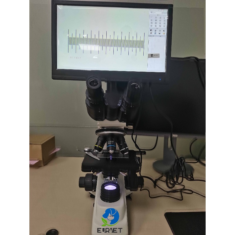 2026 Medical Lab Digital Biolo - Medical Lab Microscope 评论和价格