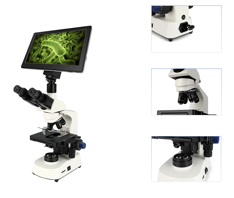 HC-B079A Cheap Microscope Elec - Medical Lab Microscope 评论和价格