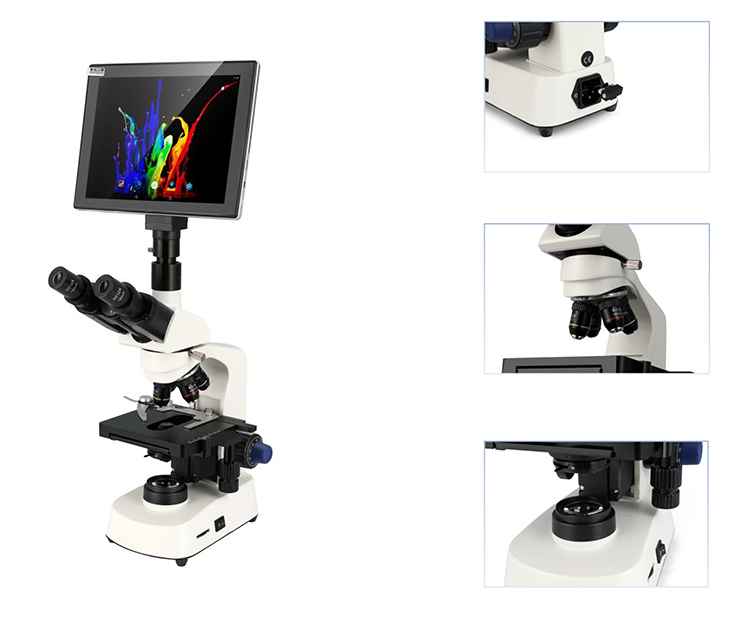 HC-B079A Cheap Microscope Elec - Medical Lab Microscope 评论和价格